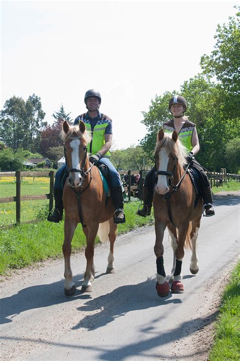 Horse Riding Lessons