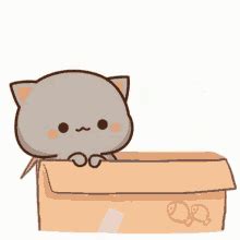 Kitten GIFs | Tenor | Cute cat gif, Cute anime cat, Cute gif