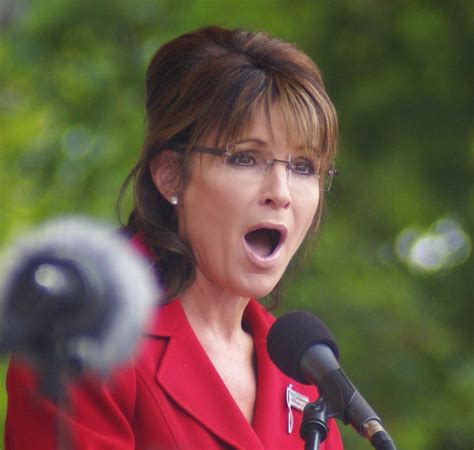 The Orbson Oracle: Sarah Palin Knocks Self Unconscious Taking Ice ...