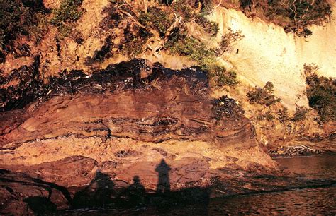 The obsidian island | New Zealand Geographic