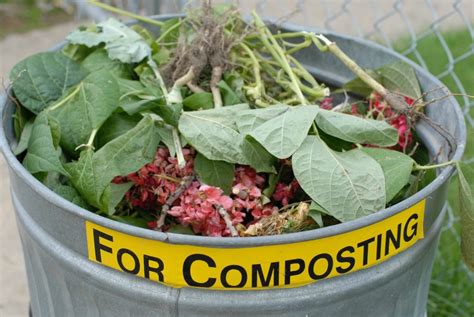 Composting Cat Litter | ThriftyFun