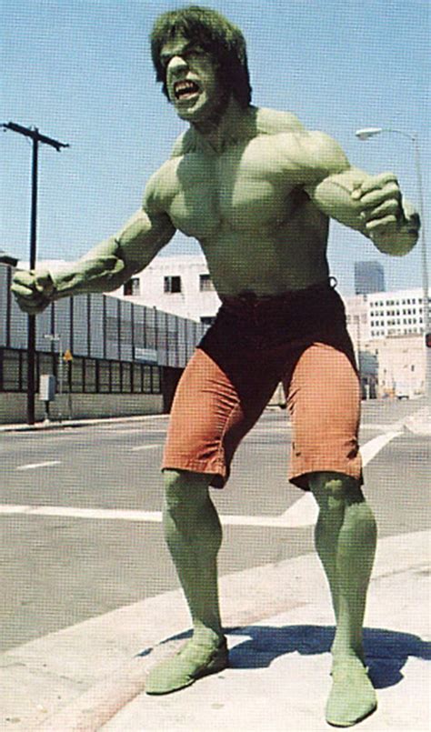 Incredible Hulk - Lou Ferrigno - Bill Bixby - TV series - Profile - Writeups.org