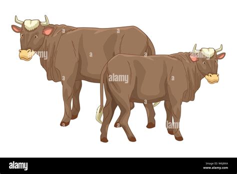 Two cows animals cartoons isolated Stock Vector Image & Art - Alamy