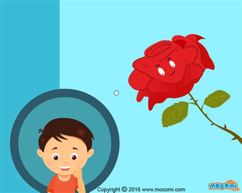 Why do roses have thorns? Bush Plant, Rose Bush, Most Beautiful Flowers ...