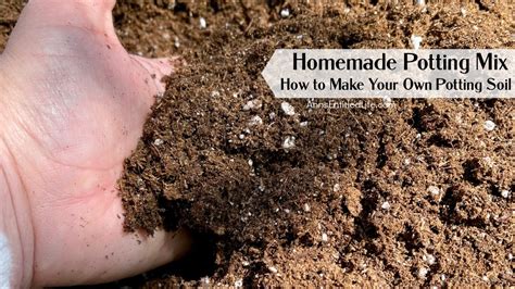 Homemade Potting Mix | How to Make Your Own Potting Soil