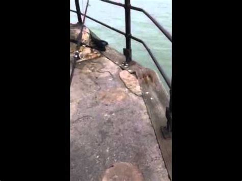 Fishing on the Southend pier - YouTube