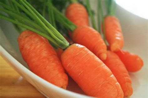 5 Best Carrot Growing Tips - Fine Gardening