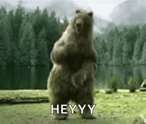 Bear Dance GIF - Bear Dance Dancing - Discover & Share GIFs