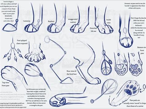 Cat Paw Drawing at PaintingValley.com | Explore collection of Cat Paw Drawing