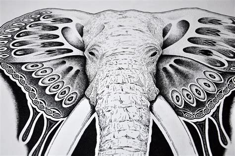 Flying Elephant on Behance