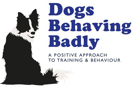 COAPE Qualified Dog Behaviourist and Trainer in Horsham, West Sussex ...