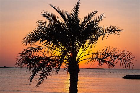 6 Best Beaches in Qatar - Which Beach Should You Visit in Qatar? – Go Guides