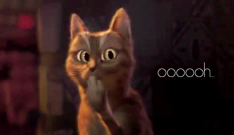 Image - Ooooooooo ooh oooh cat shrek.gif - Glee Wiki - Wikia