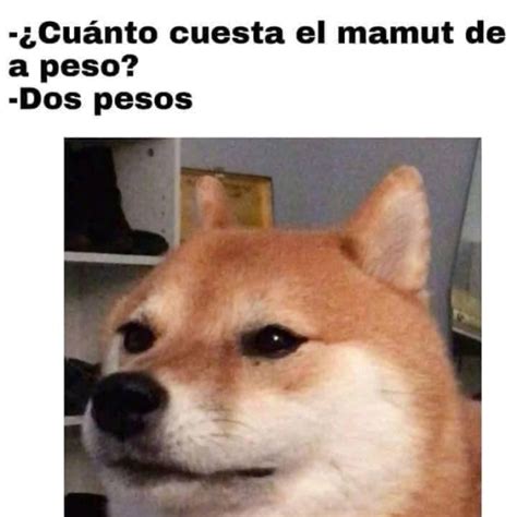 Cheems: la historia del perrito de los memes