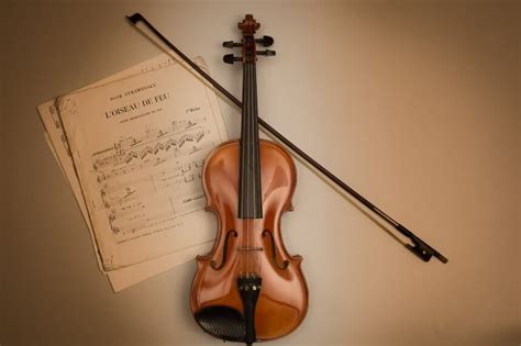 Types of Violins: Beginner's Guide [Upd. 2024]