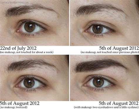 Totally growing mine out now. Wish me luck! | Best eyebrow makeup ...