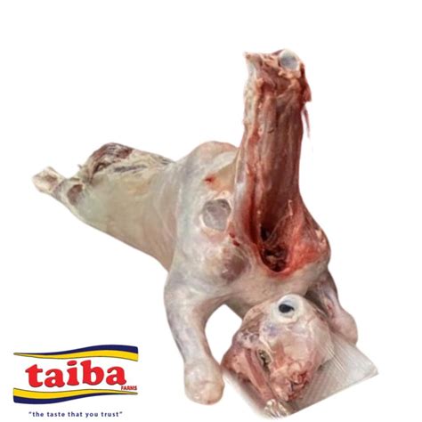 Shop for Fresh Whole Baby Lamb Najdi Breed Local Online in Dubai and ...