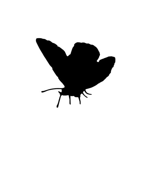 SVG > clip art butterfly - Free SVG Image & Icon. | SVG Silh