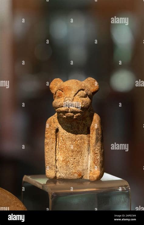 Mayan jaguar figure in Dzibilchaltun museum, Yucatan, Mexico Stock Photo - Alamy