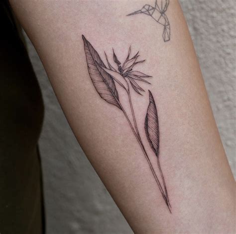 Bird of Paradise flower in 2023 | Small girly tattoos, Creative tattoos ...