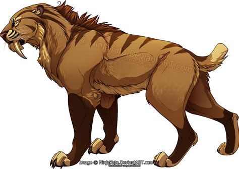 Anime Sabertooth Tiger Drawings | Images and Photos finder