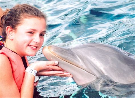 Dolphin Kiss | Dolphin Kiss video En el programa de encuentr… | Flickr