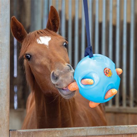 Keep Your Horse Mentally Stimulated With Horse Toys | BeChewy