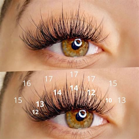 Wispy Eyelashes, Perfect Eyelashes, Curl Lashes, Longer Eyelashes, Volume Lashes, Bottom Lash ...