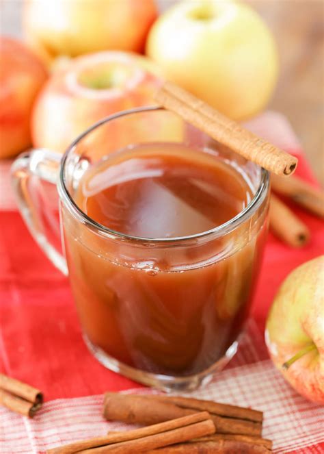 The BEST Homemade Hot Apple Cider Recipe | Lil' Luna