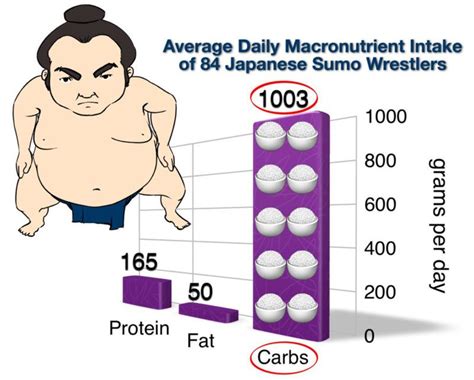 How to eat like a sumo wrestler - Diet Doctor | Sumo wrestler, Wrestler, Sumo wrestler diet