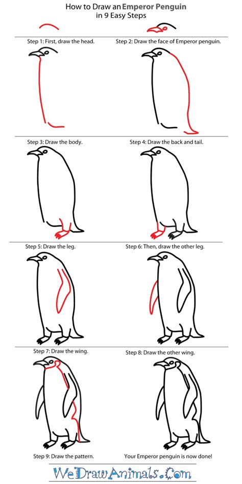 How to Draw an Emperor Penguin