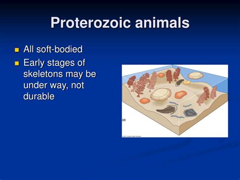 PPT - Proterozoic PowerPoint Presentation, free download - ID:1253250