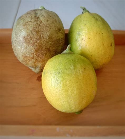 Local Lemon with Thick Skin Dull Color Stock Photo - Image of local ...
