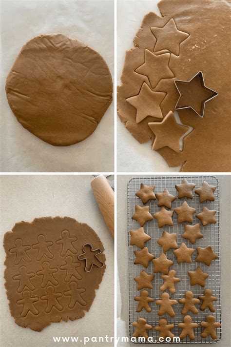 Sourdough Gingerbread Cookies - The Pantry Mama