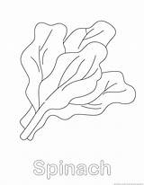 Spinach Coloring Pages sketch template