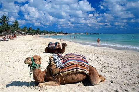 Djerba: the paradise island of Tunisia – blogLaMegara