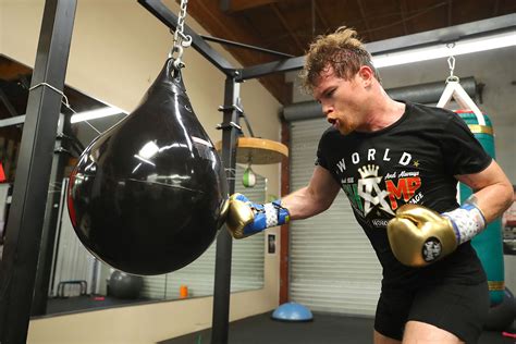 Canelo Alvarez Training Camp Notes as He Prepares for Gennady Golovkin Rematch | Round By Round ...