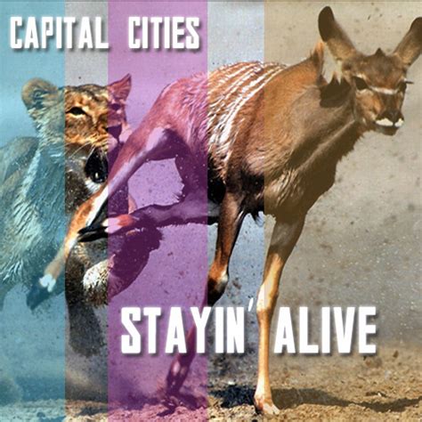 Bee Gees - Stayin' Alive (Capital Cities Cover) :: Indie Shuffle