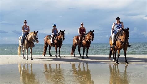 Horseback Riding Along the Texas Gulf Coast – Galveston Island Guide