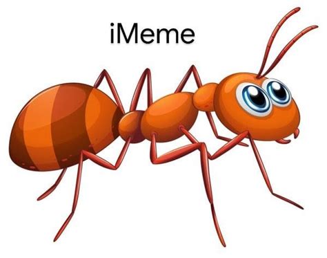 Ant internet meme : r/antimeme