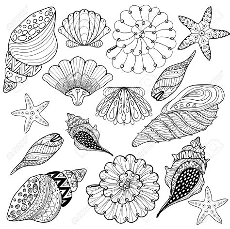 Seashell Line Drawing at GetDrawings | Free download