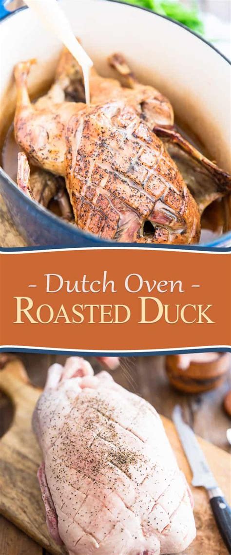 Dutch Oven Roasted Duck | Recipe | Roasted duck recipes, Whole duck ...