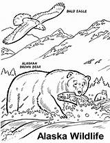 Wildlife Coloring Pages Printable At GetColoringscom  Free sketch template