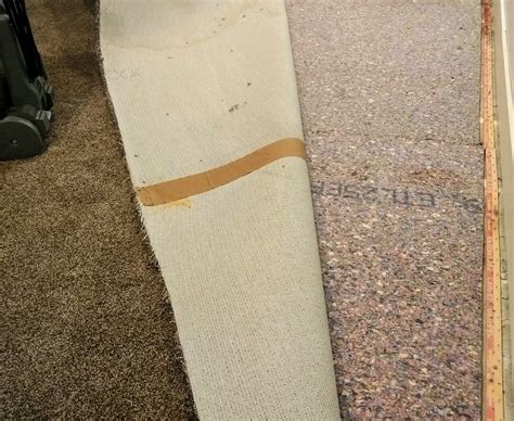 How To Save A Flooded Basement Carpet: Tips And Tricks | ShunShelter