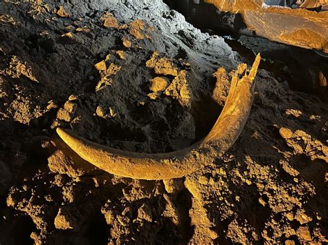 Coal miners in North Dakota unearth a mammoth tusk buried for thousands of years – Metro US