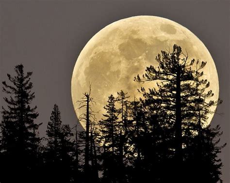 The July full moon is coming this week. It’s a ‘buck moon.’ - nj.com