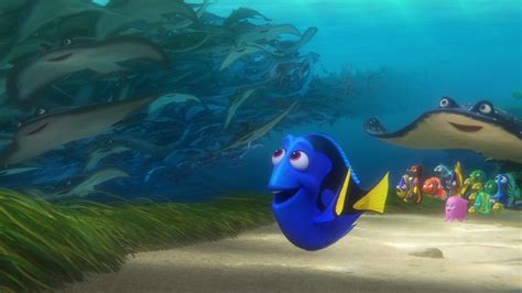 'Finding Dory' is very good, but not better than original - Business Insider