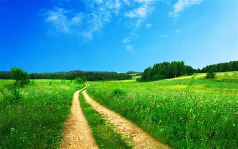 country dirt road with beautiful scenic grassy landscape and clear blue sky in spring, scenic ...