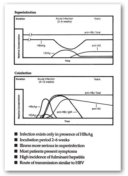 Liver and Gastroenterology Tests | Basicmedical Key