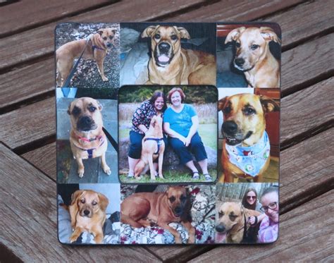 Pet Collage Picture Frame Personalized Pet Memorial Picture